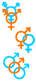 Image made of gender symbols representing different sorts of people in different relationship configurations. At the top is an example of a couple composed of two trans people. Under that is a couple which consists of a bigender person and a woman. Finally at the bottom the symbols represent a poly relationship between three men. There are so many symbols, genders and relationship configurations that could be here that are not. This is an incomplete random sampling of genders and relationship configurations. 