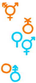 Image made of gender symbols representing a sampling of different sorts of genders. These include the symbol for transgender, non-binary, a gender, bi-gender, genderless and androgynous. There are so many symbols that could be here that are not. This is just an incomplete random sampling. 