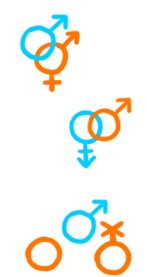 Image made of gender symbols representing different sorts of people and in different relationship configurations. At the top is an example of a relationship composed of a man and a bi-gender person. Under that is a couple which consists of an androgynous person and a man. Finally at the bottom the symbols representing a non-binary person, a genderless person and a man. There are people and relationships that are not represented here. This is an incomplete random sampling of genders and relationship configurations. 