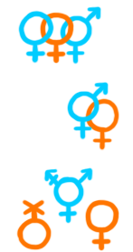 Image made of gender symbols representing different sorts of people and in different relationship configurations. At the top is an example of a poly relationship composed of two women and a bi-gender person. Under that is a couple which consists of a bigender person and a woman. Finally at the bottom the symbols represent a non-binary person, a trans person and a woman. There are people and relationships that are not represented here. This is an incomplete random sampling of genders and relationship configurations. 